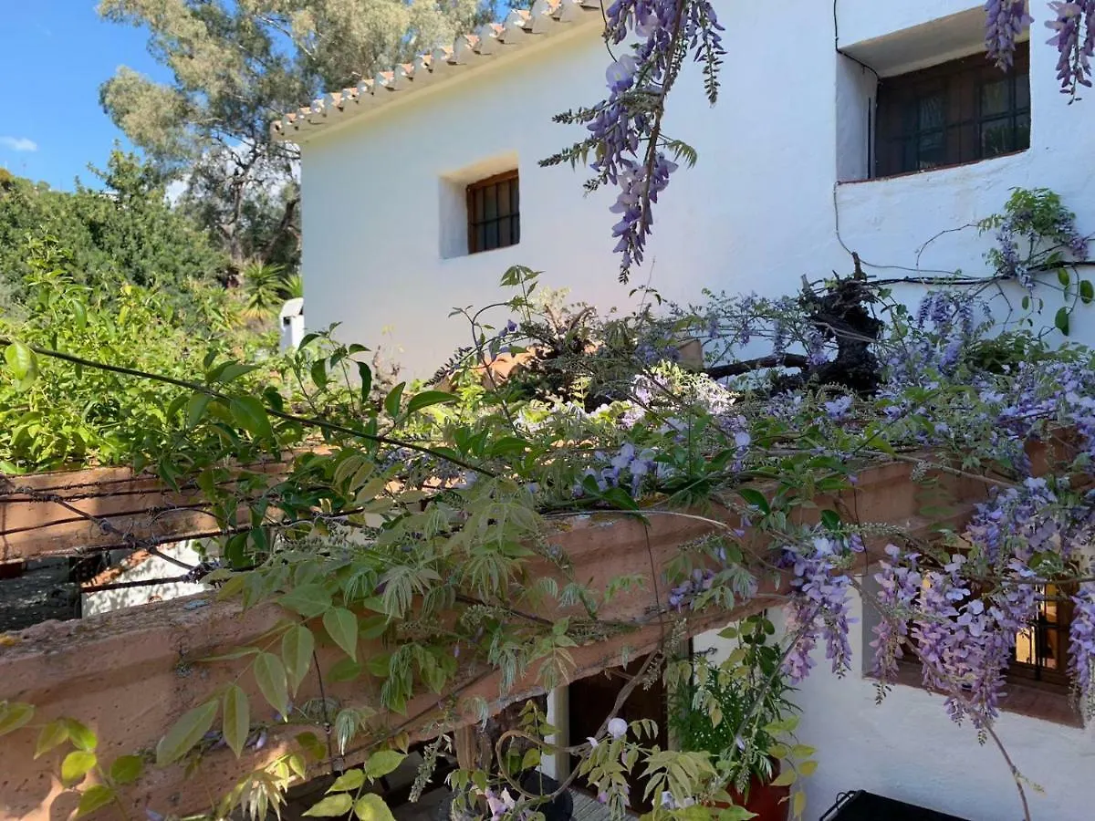 Holiday home Lemon Grove Farmhouse Hotel Comares