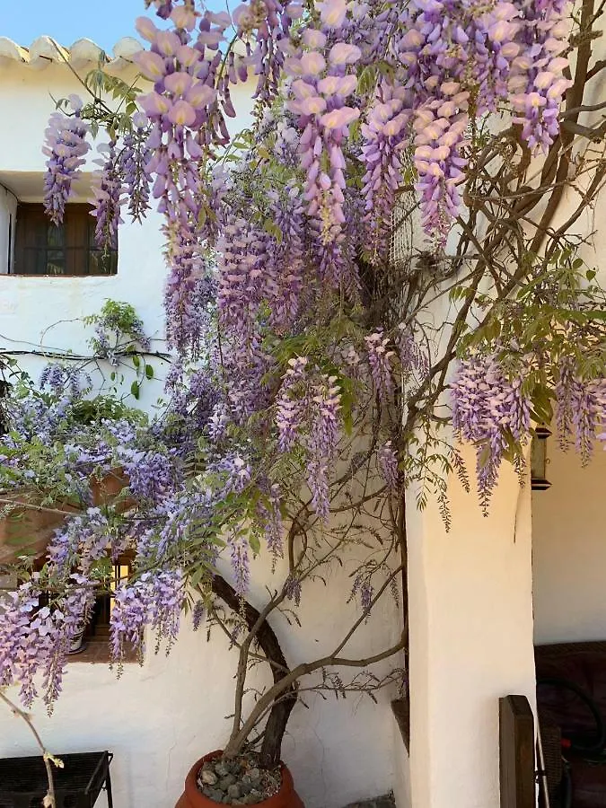 Lemon Grove Farmhouse Hotel Comares