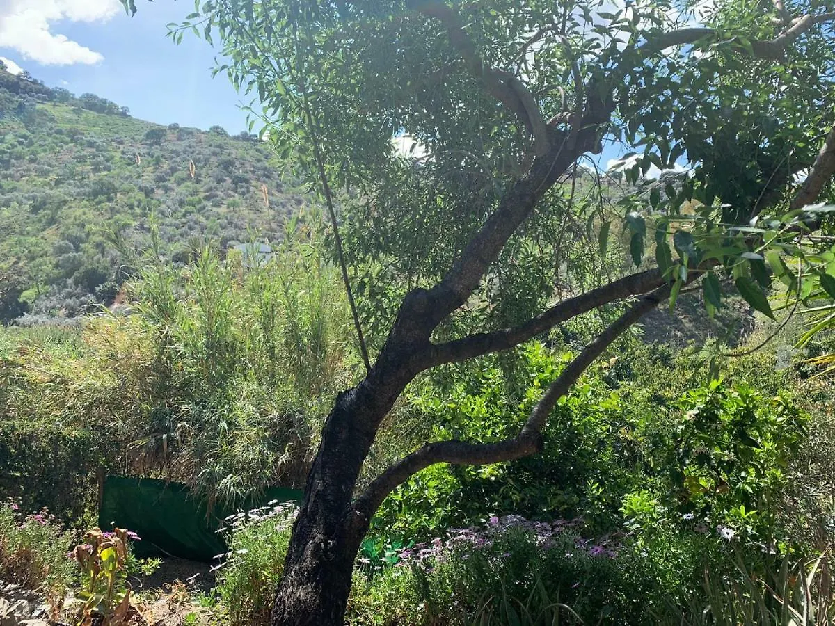 Lemon Grove Farmhouse Hotel Comares Holiday home